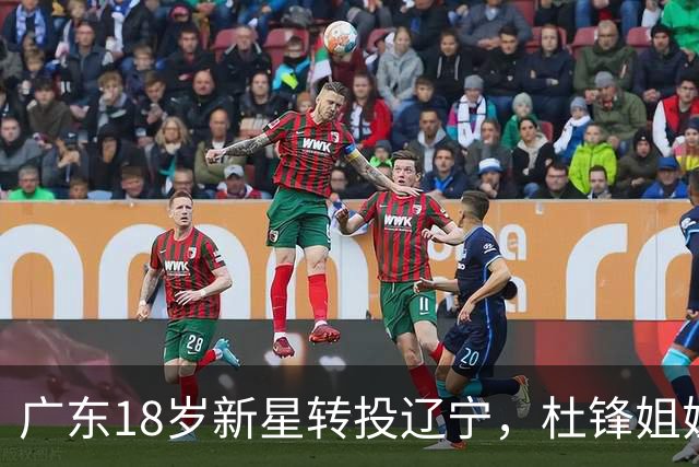 广东18岁新星转投辽宁，杜锋姐姐当选篮协副会长，2后卫试训新疆，广厦外援接受归化